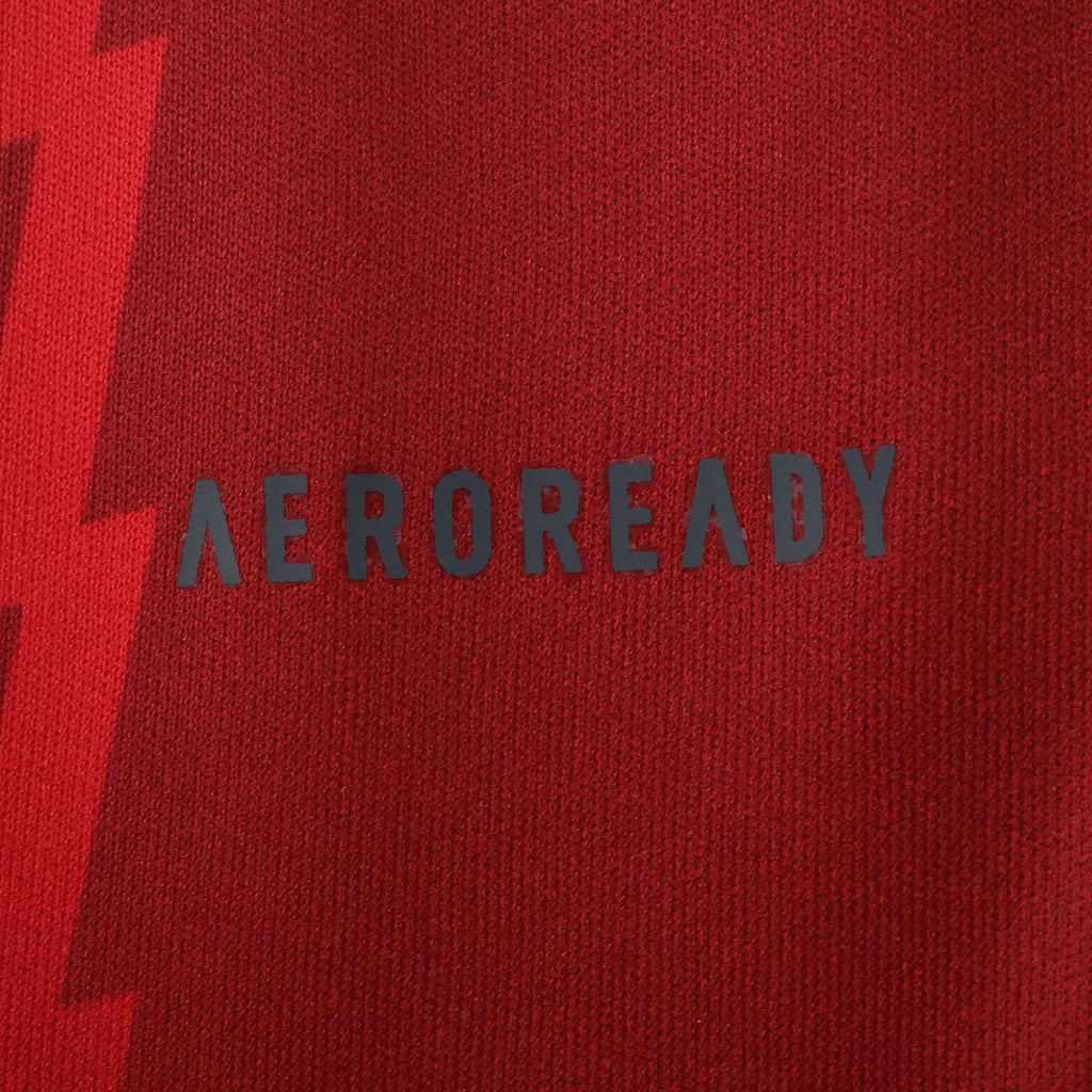 Arsenal 25/26 Concept